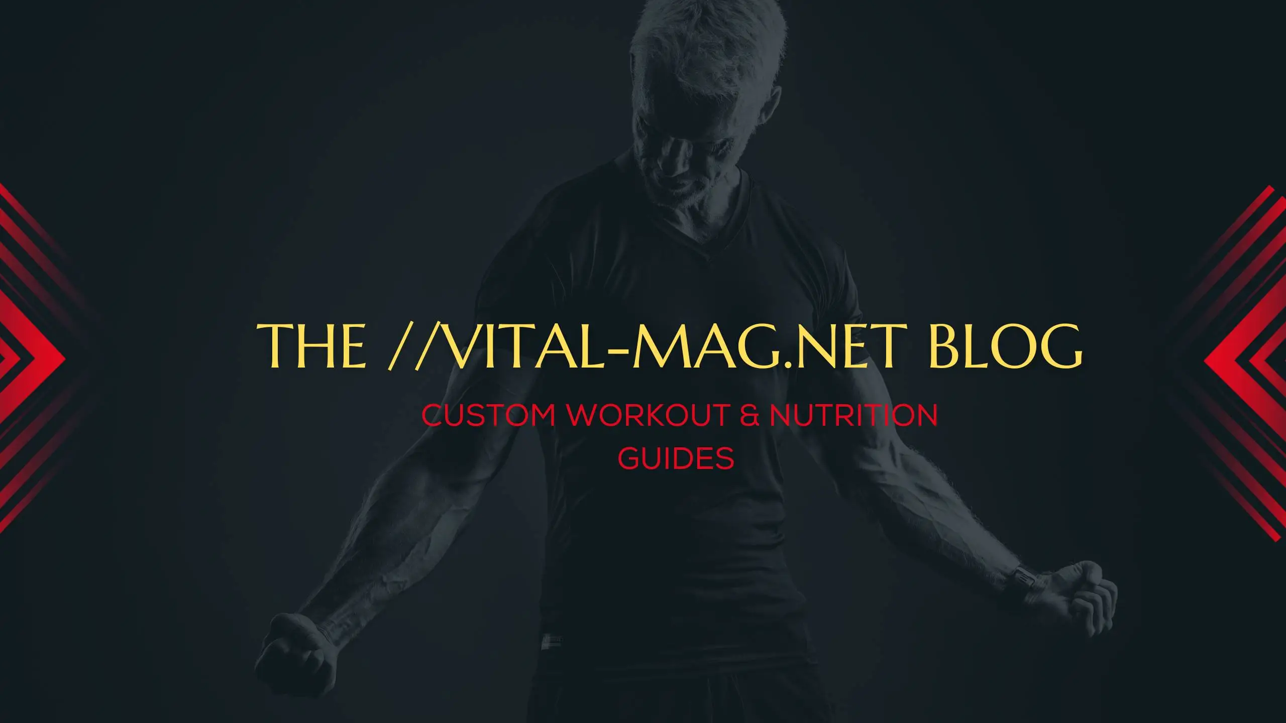 The //vital-mag.net blog