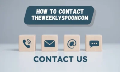 Contact TheWeeklySpooncom: Your Gateway to Culinary Inspiration