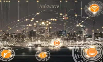 Ankwave