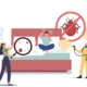 Debunking Misconceptions About Bed Bugs and Their Control