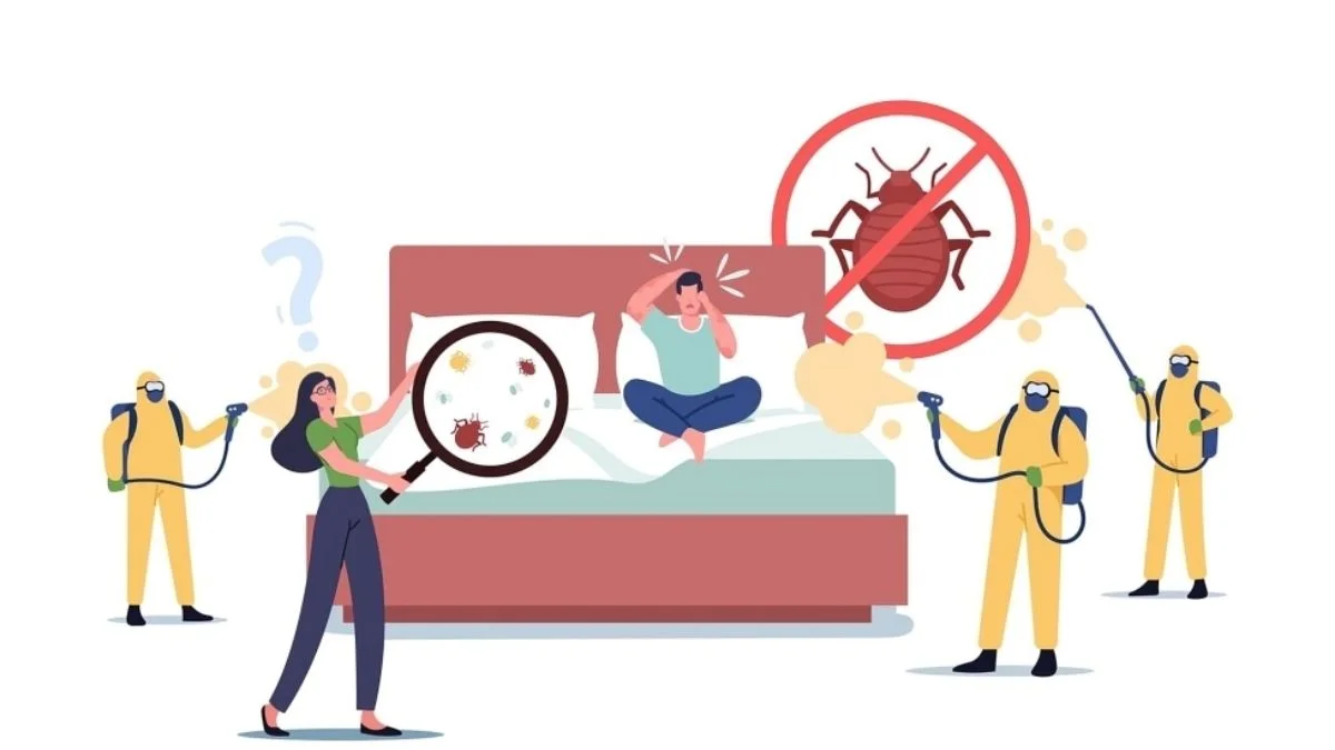 Debunking Misconceptions About Bed Bugs and Their Control