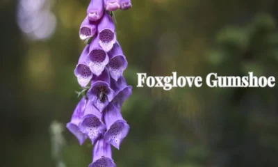 Foxglove Gumshoe