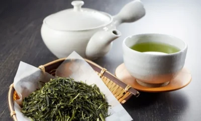 Embrace the Rich Tradition of Sencha and Elevate Your Tea Experience