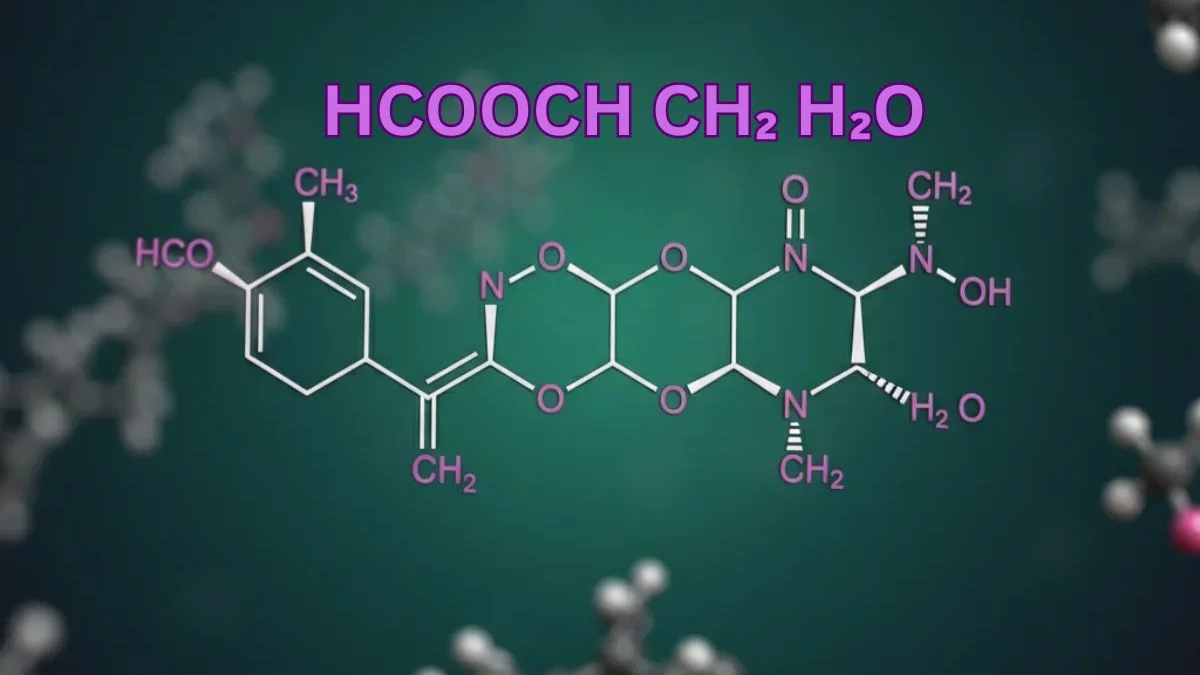 HCOOCH CH₂ H₂O