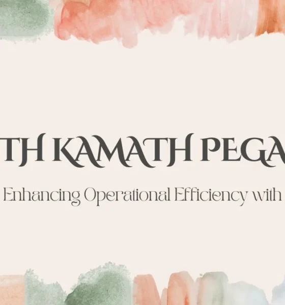 Puneeth Kamath Pegaworld