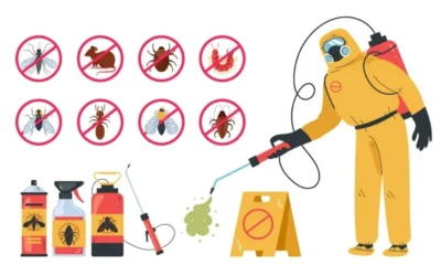 Pest Control Solutions