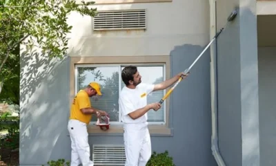 Tips to Protect Your Lawn and Garden While Painting Your North Shore Home