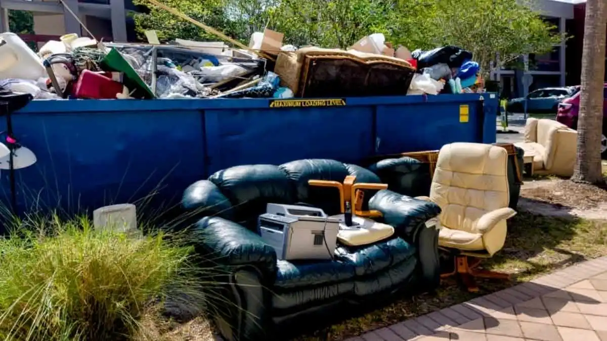 Why Timely Junk Removal Matters for Your Home and Business