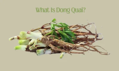 What Is Dong Quai?