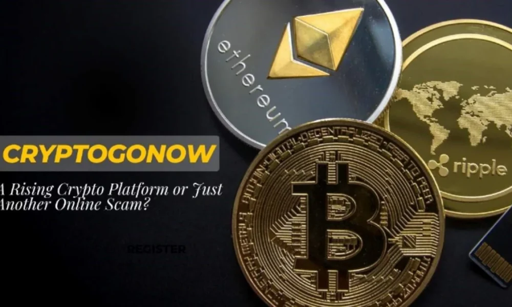 CryptoGoNow: A Rising Crypto Platform or Just Another Online Scam?