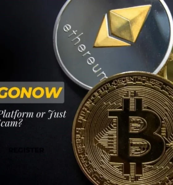 CryptoGoNow: A Rising Crypto Platform or Just Another Online Scam?