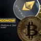 CryptoGoNow: A Rising Crypto Platform or Just Another Online Scam?