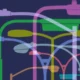 How Urban Growth Drives Demand for Smarter Street Light Infrastructure