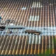 Preventing Roof Damage: The Importance of Regular Cleaning and Maintenance