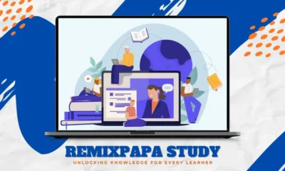 RemixPapa Study