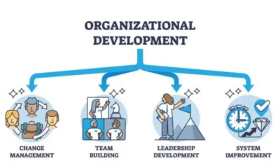 Strategic Leadership: Harmonizing Development Programs with Organizational Goals