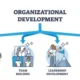 Strategic Leadership: Harmonizing Development Programs with Organizational Goals