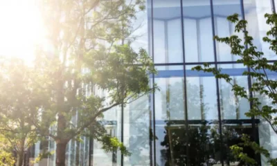 Exterior Intelligence: Why Clean Windows, Panels, and Pathways Add Up to Smarter Living
