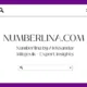 Numberlina.com by Aleksandar Milojevik – Expert Insights 