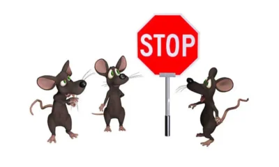 Rodents Don’t Knock: How They Get In, What They Want, and How to Stop Them