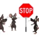 Rodents Don’t Knock: How They Get In, What They Want, and How to Stop Them
