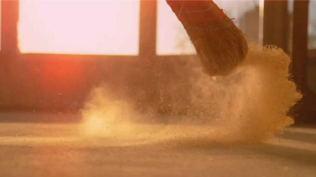 The Day the Dust Took Over: A Cleaning Tale with a Twist