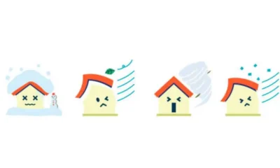 Water, Wind, and Wear: How the Elements Shape Your Roof’s Lifespan