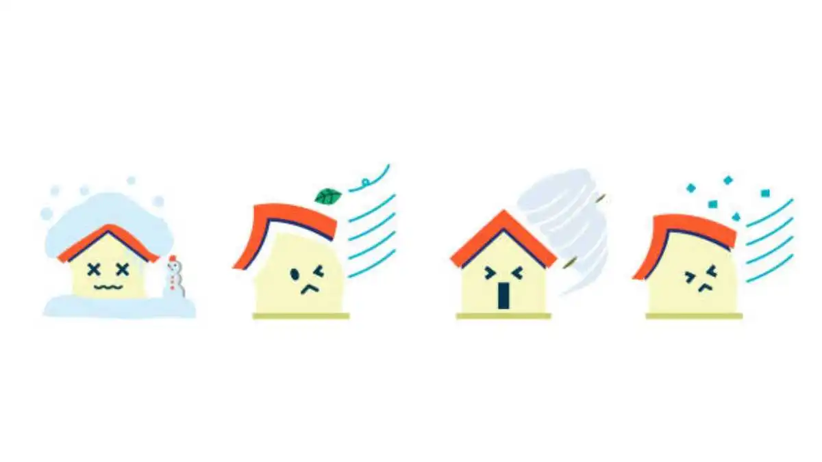 Water, Wind, and Wear: How the Elements Shape Your Roof’s Lifespan