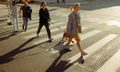 What Makes Pedestrians So Vulnerable on the Road