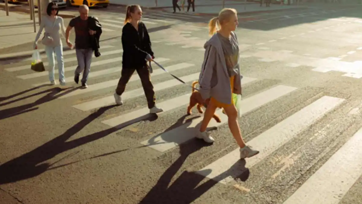 What Makes Pedestrians So Vulnerable on the Road