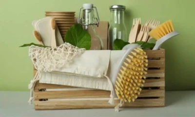 Greener, Cleaner, Smarter: The Evolution of Eco-Friendly Cleaning in Today’s Homes and Businesses