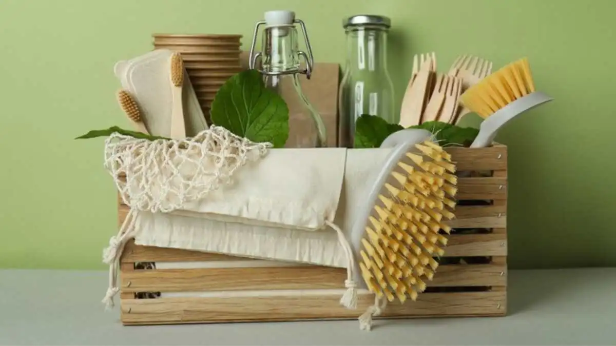 Greener, Cleaner, Smarter: The Evolution of Eco-Friendly Cleaning in Today’s Homes and Businesses