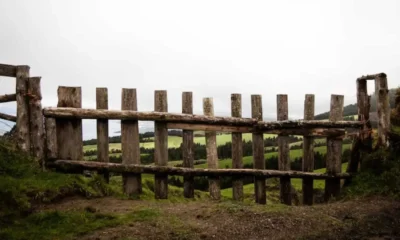 The Fence Chronicles: A Journey Through Boundaries