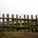 The Fence Chronicles: A Journey Through Boundaries