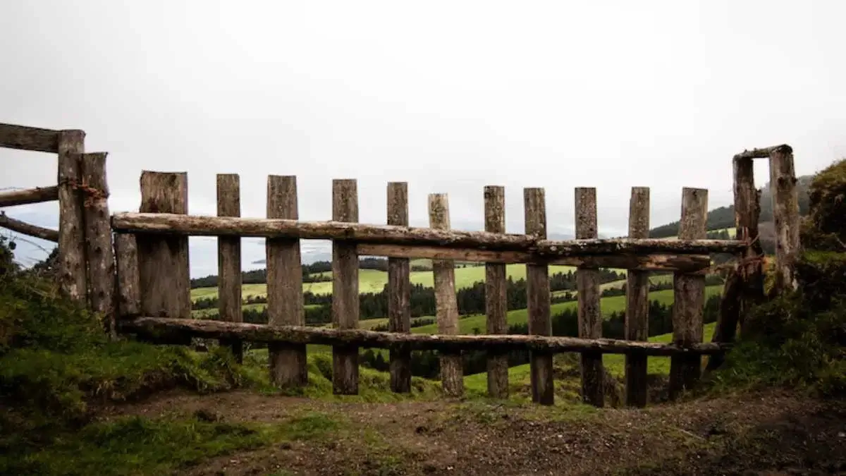 The Fence Chronicles: A Journey Through Boundaries