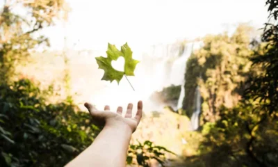 The Role of Nature in Healing: Why the Environment Matters in Recovery
