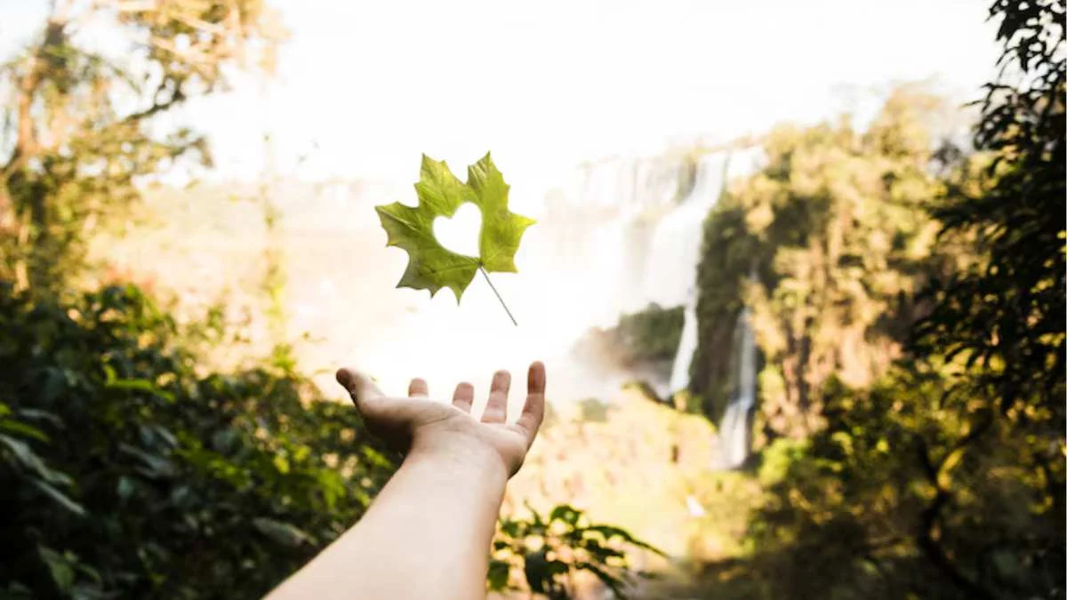 The Role of Nature in Healing: Why the Environment Matters in Recovery