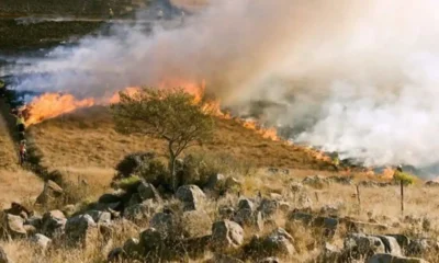 Top Mistakes to Avoid When Filing a Wildfire Insurance Claim