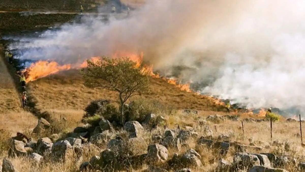 Top Mistakes to Avoid When Filing a Wildfire Insurance Claim