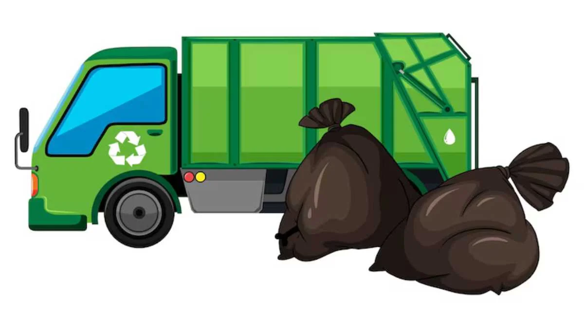 The Journey of a Renovation: A Dumpster's Story