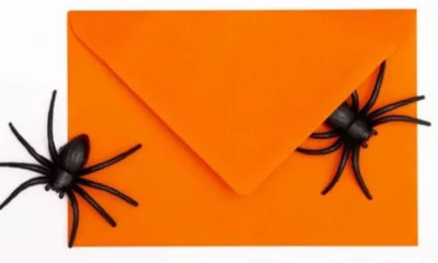 An Open Letter From Your House (About Our Pest Problem)