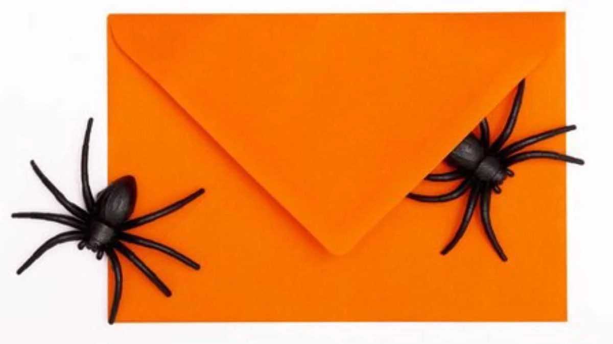 An Open Letter From Your House (About Our Pest Problem)