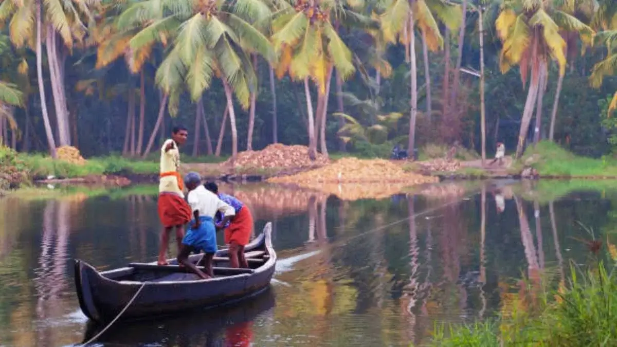 Backwaters to Beaches: Kerala Family Packages You Must Try