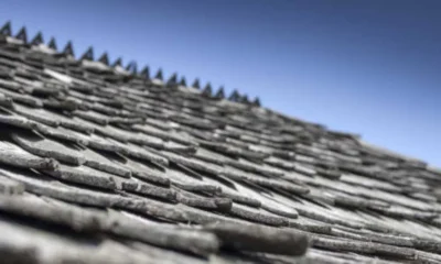 Beneath the Shingles: A Day in the Life of Your Roof
