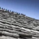 Beneath the Shingles: A Day in the Life of Your Roof