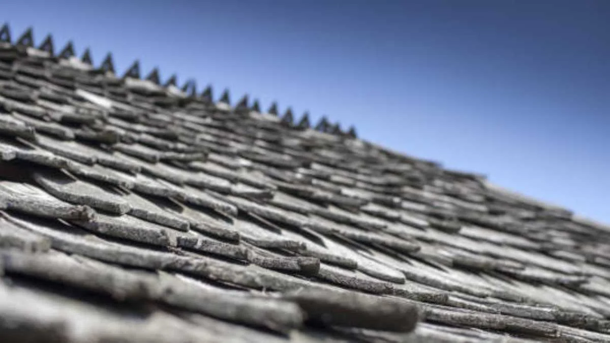 Beneath the Shingles: A Day in the Life of Your Roof