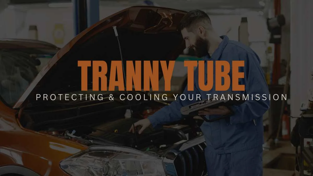 Tranny Tube