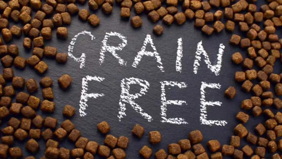 Why Grain-Free Dog Food Is Gaining Popularity Among Pet Owners