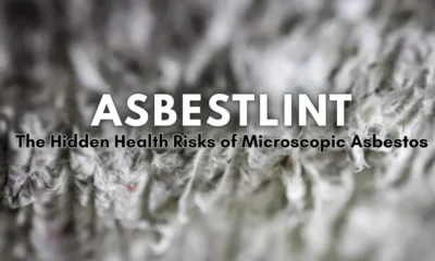 Asbestlint