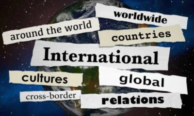 Beyond Borders: A Guide to Thriving in the Diverse World of International Administration